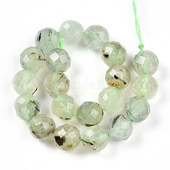 Natural Prehnite Beads Strands&nbsp;G-S345-10mm-28