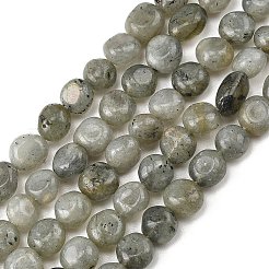 天然石ラブラドライトビーズ連売り  ナゲット  タンブルストーン  9~12x8~10x3~9mm  穴：1mm  約36~41個/連  15.08''~15.87''（38.3~40.3センチメートル）&nbsp;G-P623-A03-02
