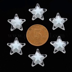 Transparent Acrylic Beads&nbsp;TACR-S152-11A-10
