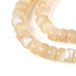 Natural Trochid Shell/Trochus Shell Beads Strands&nbsp;BSHE-T014-54B