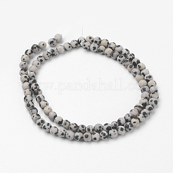 Natural Dalmatian Jasper Bead Strands&nbsp;G-G735-68F-4mm