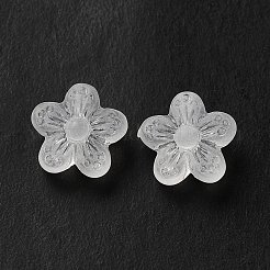 Transparent Acrylic Beads&nbsp;LS-OACR-L013-006