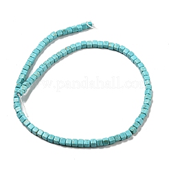 Dyed Synthetic Turquoise Beads Strands&nbsp;G-G075-B02-03