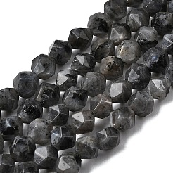 Natural Larvikite Beads Strands&nbsp;G-Z119-A32-01