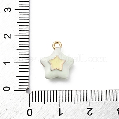 Alloy Enamel Charms&nbsp;ENAM-E362-08E