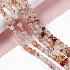 Natural Dendritic Agate Beads Strands&nbsp;G-C011-01A