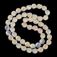 電気メッキガラスビーズセット  ABカラーメッキ  カタツムリ  クリアAB  12.5x11.5x4.5mm  穴：1mm  約50個/連  24.41インチ（62cm）&nbsp;EGLA-F164-AB02