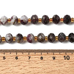 Natural Plum Blossom Tourmaline Beads Strands&nbsp;G-D105-B01