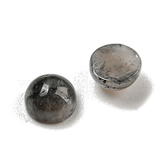 天然石ラブラドライトカボション  半円  4x2~2.5mm&nbsp;G-H309-03-39