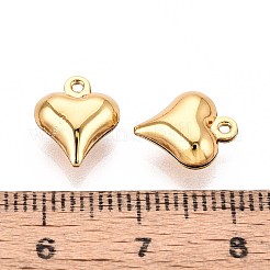 304 Stainless Steel Charms&nbsp;STAS-N118-12G