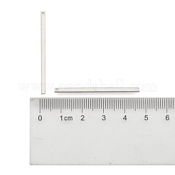 真鍮チャーム  ストリップ  プラチナ  40x2x2mm  穴：1mm&nbsp;KK-O092-A-02P