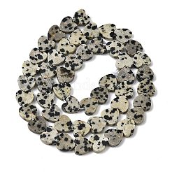 Natural Dalmatian Jasper Beads Strands&nbsp;X-G-M403-A31-03