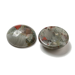 Natural Africa Bloodstone Cabochons&nbsp;G-C115-02A-39