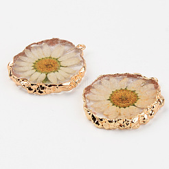 Resin Pendants&nbsp;RESI-R428-004