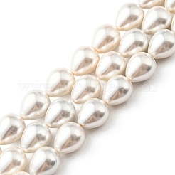 Teardrop Shell Pearl Bead Strands&nbsp;BSHE-L015-12x16-01