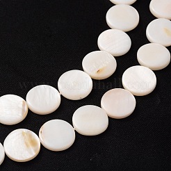 Natural White Shell Beads Strands&nbsp;PBB251Y-2