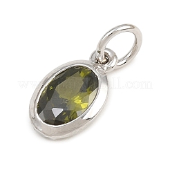 Brass Pave Cubic Zirconia Charms&nbsp;KK-CBA0031-03P-C