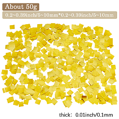 50G PET Plastic Confetti&nbsp;DIY-SC0031-96B
