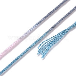 10かせ 6層ポリエステル刺繍フロス  クロスステッチの糸  セグメント染め  ダークスレートグレー  0.5mm  約8.75ヤード（8m）/かせ&nbsp;OCOR-K006-A27