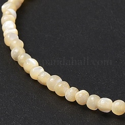 Natural Trochid Shell/Trochus Shell Beads Strands&nbsp;SSHEL-S266-023B-01