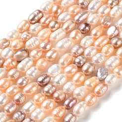 Natural Cultured Freshwater Pearl Beads Strands&nbsp;PA-CBABE82-01A