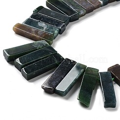 Natural Indian Agate Beads Strands&nbsp;G-L551B-14