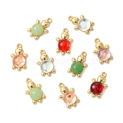 60 個 6 色のアクリル合金ペンダント  ゴールド  カメ  ミックスカラー  22x13.5x6.5~6.8mm  穴：1.6mm  10個/カラー&nbsp;FIND-CJ0003-81