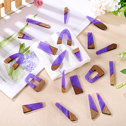 20Pcs 10 Styles Resin & Wood Pendants&nbsp;WOOD-TA0002-67A