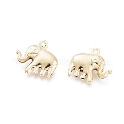 304 Stainless Steel Charms&nbsp;X-STAS-H413-13G