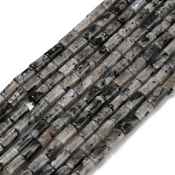 Natural Larvikite Beads Strands&nbsp;G-P600-B08-01