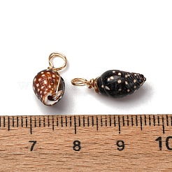 スパイラルシェルのペンダント  本物の18K金メッキ銅線ループ付き  シェルチャーム  ブラック  18~20x7~8x6~7mm  穴：3.2~3.7mm&nbsp;PALLOY-JF02492-02