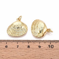 真鍮チャーム  シェル形状  丸カン付き  16KGP本金メッキ  19x19~19.5x5mm  穴：3mm&nbsp;KK-T071-85G