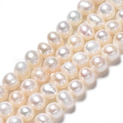 Natural Cultured Freshwater Pearl Beads Strands&nbsp;PEAR-N013-05C