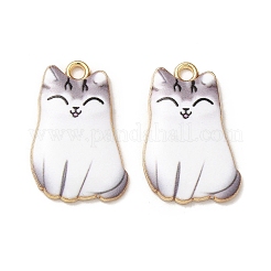 Alloy Enamel Pendants&nbsp;X-ENAM-M046-12G-D