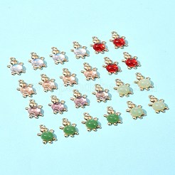 24 個 6 色のアクリル合金ペンダント  ゴールド  カメ  ミックスカラー  22x13.5x6.5~6.8mm  穴：1.6mm  4個/カラー&nbsp;FIND-FS0003-29