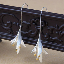 Valentine's Day Alloy Dangle Earrings&nbsp;WGA07D2-01
