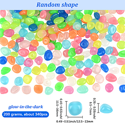 200g Luminous Acrylic Beads&nbsp;OACR-SP0001-79C