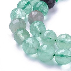 Natural Fluorite Beads Strands&nbsp;G-P430-17-D