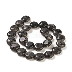 天然ラルビカイトビーズ連売り  フラットラウンド  ブラック  14.6~15.5x6~6.5mm  穴：0.8mm  約27個/連  15.59''~15.87''（39.6~40.3センチメートル）&nbsp;G-M403-C09-02