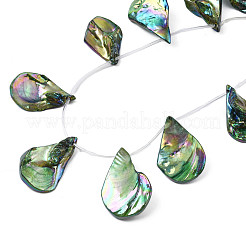 Electroplated Natural Freshwater Shell Beads&nbsp;SHEL-N026-196