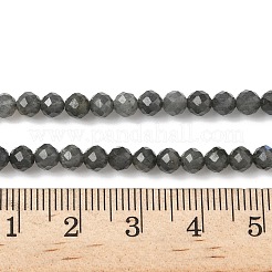 Natural Labradorite Beads Strands&nbsp;G-L622-C03-4mm