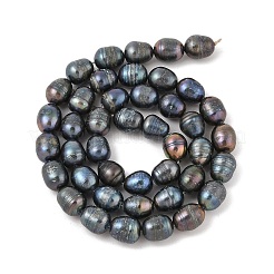 天然養殖淡水パールライスビーズパールビーズ連売り  染め  ライス  プルシアンブルー  8~11x7~8mm  穴：0.6~0.7mm  約41~42個/連  16.23インチ（41cm）&nbsp;PEAR-R012-05