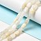 Natural White Moonstone Beads Strands, Column, 9x6mm, Hole: 0.9~1mm, about 20~21pcs/strand, 7.09~7.48 inch(18~19cm)
