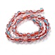 Handmade Lampwork Beads Strands&nbsp;LAMP-F014-F06-B-1