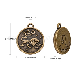 Tibetan Style Pendants&nbsp;X-PALLOY-E196-AB-NF