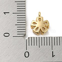 Brass with Clear Cubic Zirconia Charms&nbsp;X-KK-G478-02A-KCG