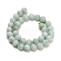 Glass Beads Strands&nbsp;G-L642-B18-12mm
