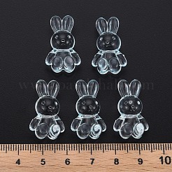 Transparent Acrylic Beads&nbsp;MACR-S373-81-B07
