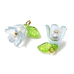 Acrylic Pendant&nbsp;PALLOY-YW027-02