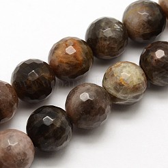 Natural Black Sunstone Round Bead Strands&nbsp;G-O039-20-8mm